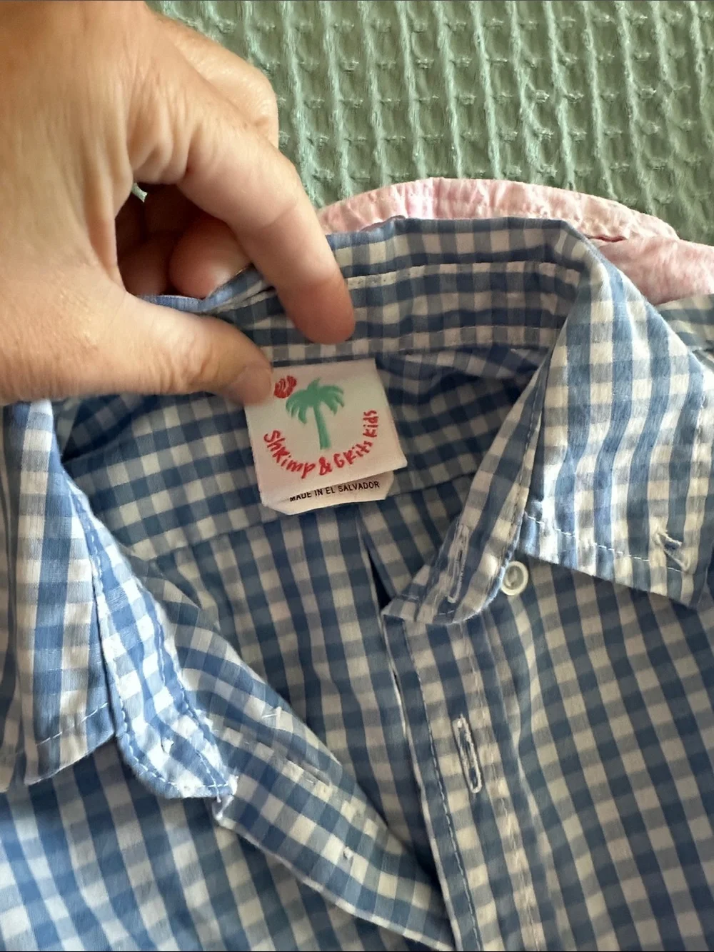 Ralph Lauren Boys' Blue & shrimp & grits Pink Gingham Button-Down Shirts (Pair)